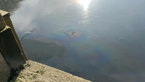 A river looks like it has a thin layer of material on the top which has caused the water to turn different colours.