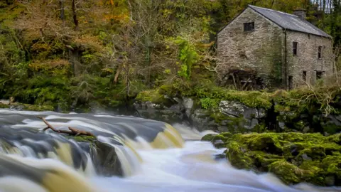 Clayton Davies Clayton Davies took this autumn scene at Cenarth Falls in the Teifi Valley