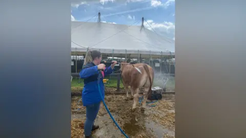 A woman in a blue jacket spraying a brown cow with water in a pen outside a large white marquee.