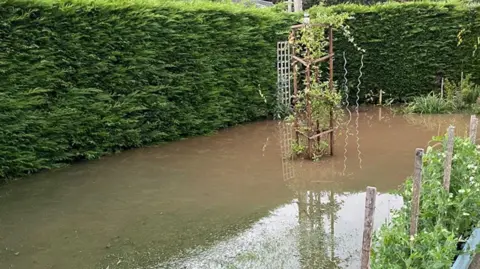 A flooded garden with brown water covering an area surrounded by green hedges, with a few plants sticking up out of the water