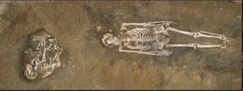 Lars Larsson. Two complete skeletons lie side by side in a shallow grave: a human stretched out on its back and, close against it, a dog. A second dog skeleton lies nearby, curled on its side. The bones are light brown and clearly outlined against darker soil, with the ribs, spine, skulls and long limb bones all exposed.