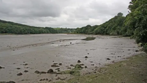 Calenick Creek near Truro at low tide. It shows greenery and mud.