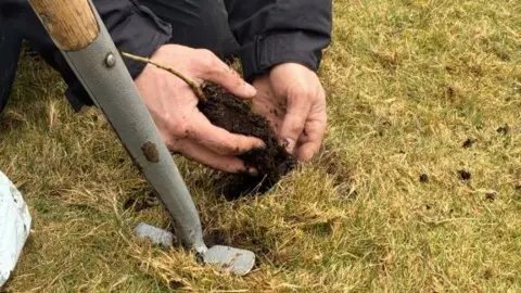 A picture of someone planting seeds into the grass. There is a large silver spade in the ground.