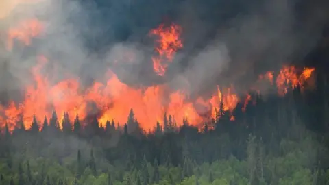 Reuters Flames and smoke as a wildfire burns a forest in Quebec, Canada.