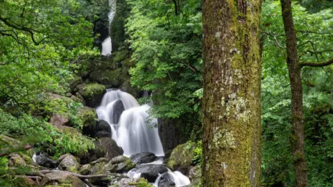 Lodore Falls in the Lake District. There is a picturesque cascading waterfall with bright green forest on either side.