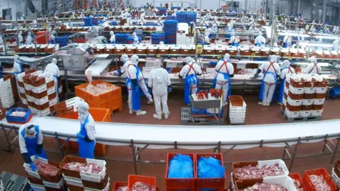 Fibrin Dozens of workers stand at production lines at Spanish meat processing firm Fibrin