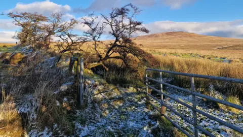 John Mallon Divis and Black Mountain