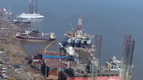 BBC The Ocean Alliance