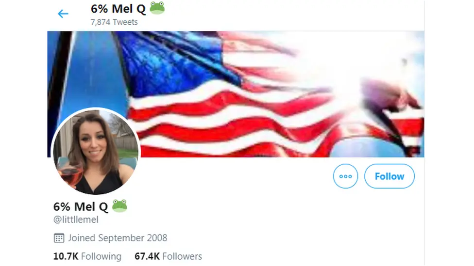 Twitter Twitter banner of 'Mel Q' who tweets about Covid-19 conspiracy theories and QAnon