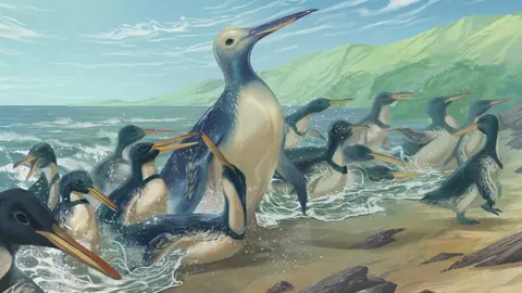 Simone Giovanardi An artist's depiction of the giant penguin