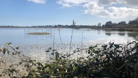 BBC Nature sanctuary