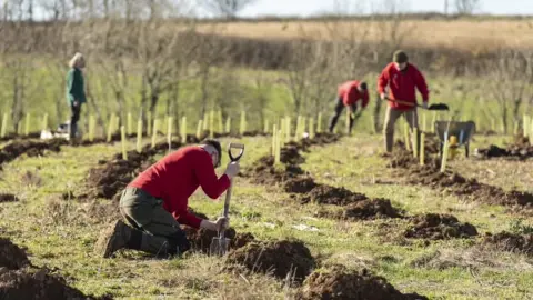 National Trust Wembury tree planting