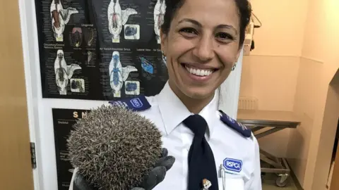 RSPCA Mariam Adwan with a hedgehog