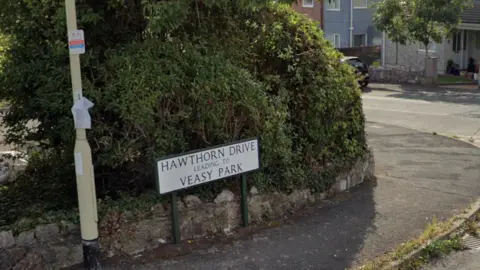 Google Hawthorn Drive