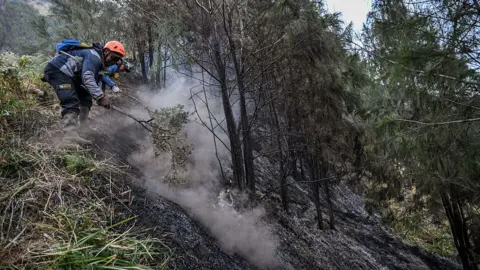 Getty Images Two volunteers trying to battle a wildfire in the Bromo Tengger Semeru National Park near Mount Bromo 