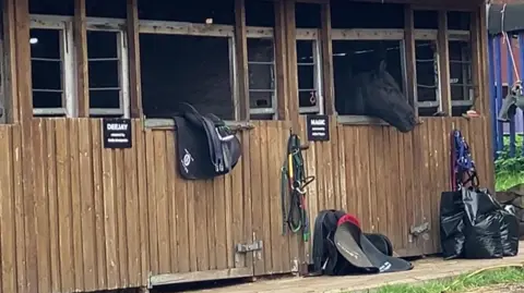 Stables with a pony poking its head outside one of the stable doors 