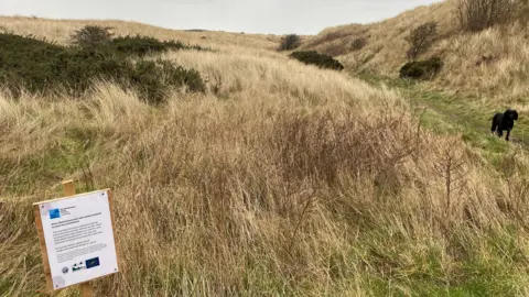 A dune area is shown with a poster in the foreground explaining the work. Areas of shrubs can be seen within the grassy banks of the dunes 