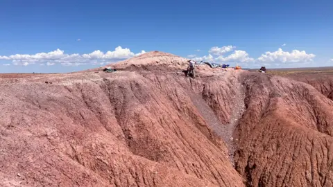 Ben Kligman The image shows a large, pinkish rock formation with a group of scientists at work on the rock. The site is in Arizona, where rock formations that are more than 200 million years old have preserved and fossilised the remains of animals.