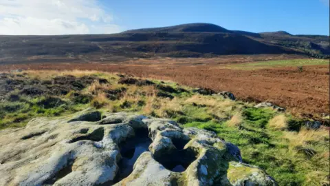 A landscape photo of an area of the Rothbury Estate. The picture has been taken from the top of a large boulder, which can be seen in the foreground. It looks out over grassland and the Simonside Hills can be seen in the distance. They are dark, almost black, in colour with rounded peaks above a high ridge.