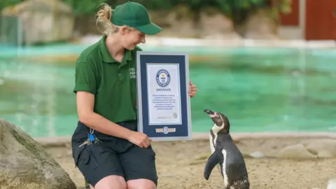 ZSL A female zookeeper holds a certificate next to a penguin at a zoo.