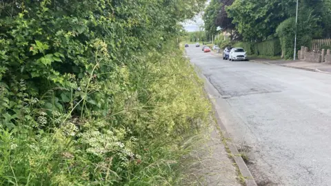 Ian Myers Overgrown grass on the path before Adam cleaned it