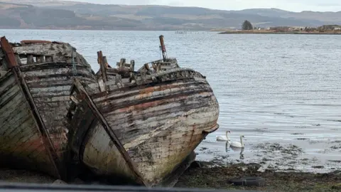 Robyn Lubbe Swans passing by two wrecked boats on a beach, with water stretching into the distance. Hills and land can be seen far away. 