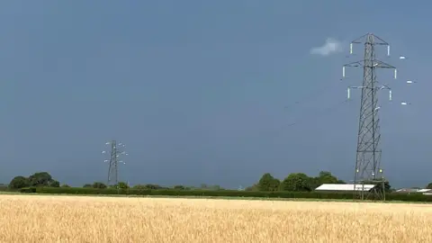 Peggy Sue/BBC Weather Watchers A black sky is the backdrop to a corn field in Lawford.