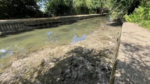 A dried-up canal