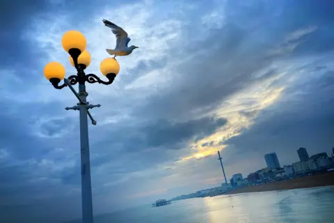 Malka Spigel-Newman Freezing Time - a seagull perched on a lamppost