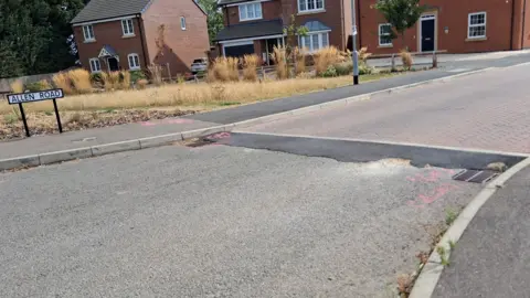 The photo shows an entrance to a housing estate. There are two different road surfaces, which are joined together by a bump in the road. 