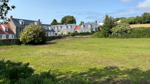 A row of houses with grey roofs and chimneys stands behind a large grassy field, surrounded by trees and bushes. The sky above is mostly clear with a few scattered clouds.