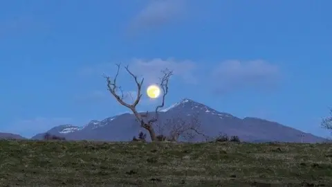 Roland Armes A full moon sits between the branches of a bare tree, set before a dark, snow-dusted mountain beneath a calm blue evening sky.
