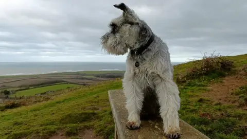 Fiona TUESDAY - Mottistone