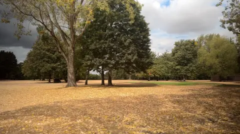 BBC/Lilah Parsons Wide view of the golf course in early autumn, with tall mature trees surrounding an open area covered in fallen yellow leaves beneath a partly cloudy sky.
