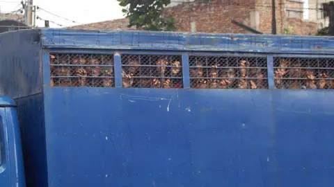 Getty Images Prisoners in Bangladesh