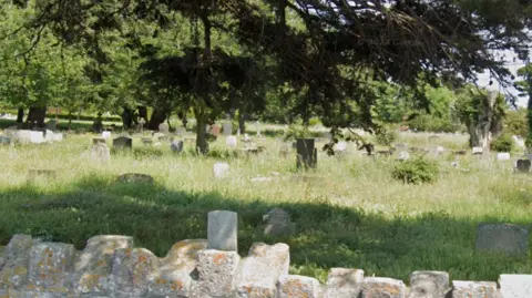 Google A cemetery with dozens of gravestones. Grass surrounding them has not been cut and is overgrown. There is a stone wall in the foreground