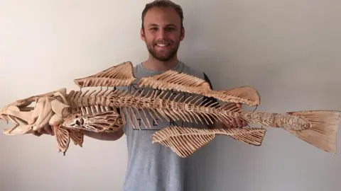 Poole Museum AUB student Sam Arthur with cod skeleton