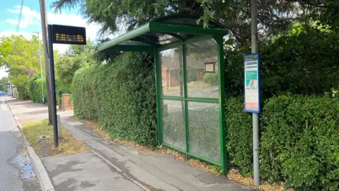 John Devine/BBC A green metal bus shelter with no sides, just a back fitted with four panels of Perspex and a flat roof of similar design, there is a matrix electronic sign on the left and a standard bus timetable on the right attached to a grey post, the street is lines with hedge and trees with some driveways in between.