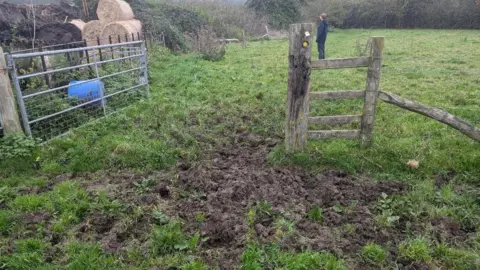 A picture of a muddy farmer's field that children have to walk along en route to school