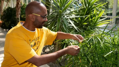 Ian Jamieson Jason Singh