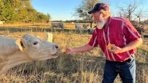 Wade Bennett feeds one of his cows