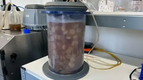 A cyclindrical fermentation tank in a lab with bits of white plastic floating inside that bacteria will grown on. The liquid is a brown colour. A thin pipe curls from the top of the tank and disappears behind it.