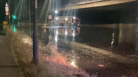 Nighttime view of a flooded road under a concrete overpass. A fire engine sits in deep, reflective floodwater in the distance with emergency lights on, while dry grassy verge and pavement run along the foreground.