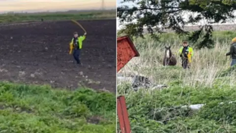 Cambridgeshire Constabulary A police officer lassoing a horse