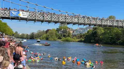 Hundreds of people line the banks of the River Dee and a bridge crossing the water to watch the duck race. A speedboat is seen in the distance coming towards the ducks all congregated at the banks.