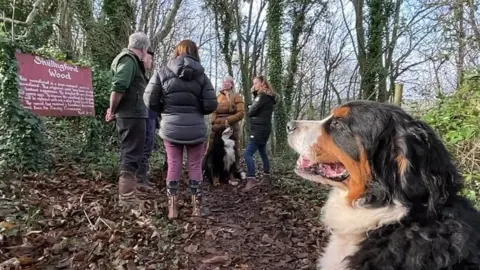 BBC A photo of campaigners outside Shillingford Woods