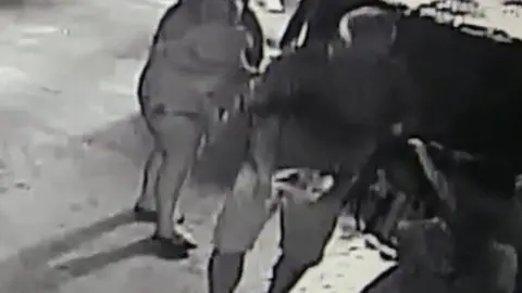 San Antonio Aquarium A man is seen carrying a horn shark in a wet towel in CCTV footage