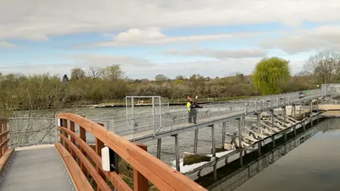 A new footbridge as seen from the wooden section of it looking at the weir.