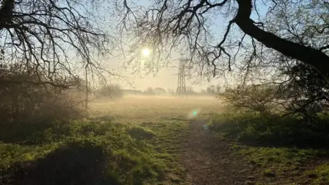 Richard Martin The Middlewick Ranges in Colchester -  a wide open field covered in a slight mist.