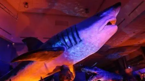 Peterborough Cathedral Monsters of the sea at Peterborough Cathedral